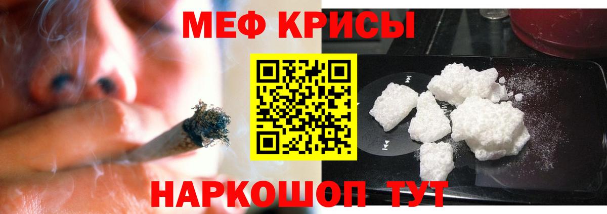 Камышин  Меф  Вход с VPN  МЯУ-МЯУ мяу мяу 