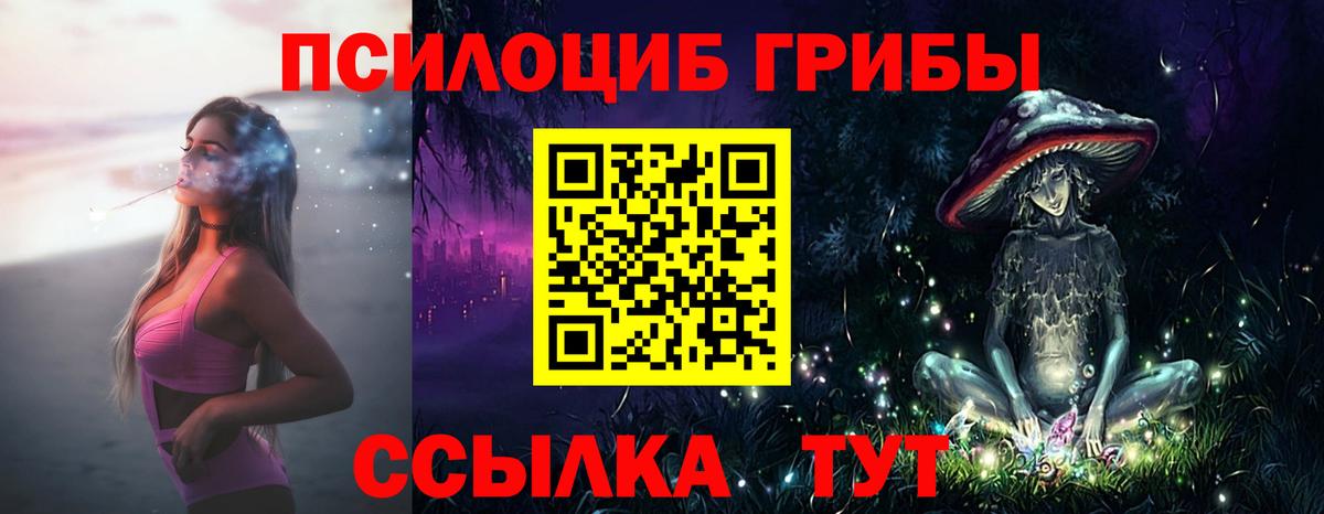 Псилоцибиновые грибы мицелий  Псилоцибиновые грибы Psilocybe  Камышин  Вход с VPN 